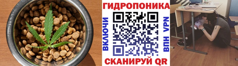 цены   Урус-Мартан  Еда ТГК конопля 