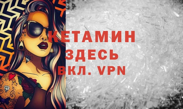 a pvp Новозыбков