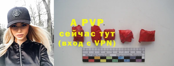 a pvp Новозыбков