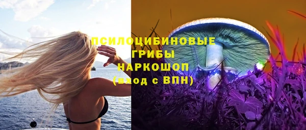 a pvp Новозыбков