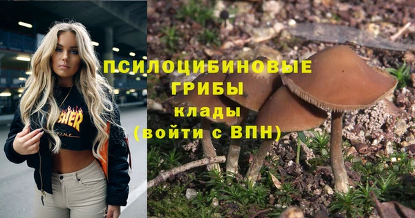 мяу мяу мука Новокубанск