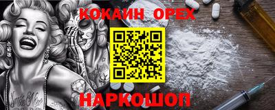 гидропоника Сланцы