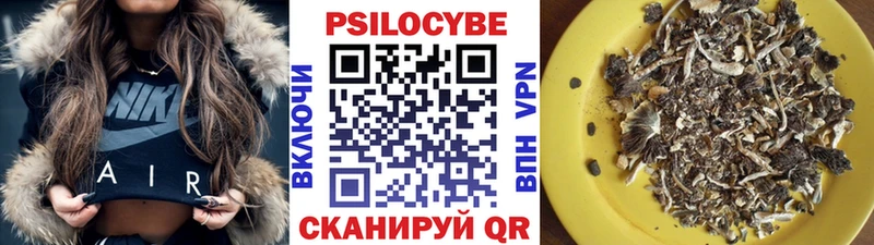 hydra ссылка  магазин  наркотиков  Урус-Мартан  Псилоцибиновые грибы Cubensis 