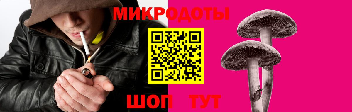 Псилоцибиновые грибы GOLDEN TEACHER  Вход с VPN  Урус-Мартан 
