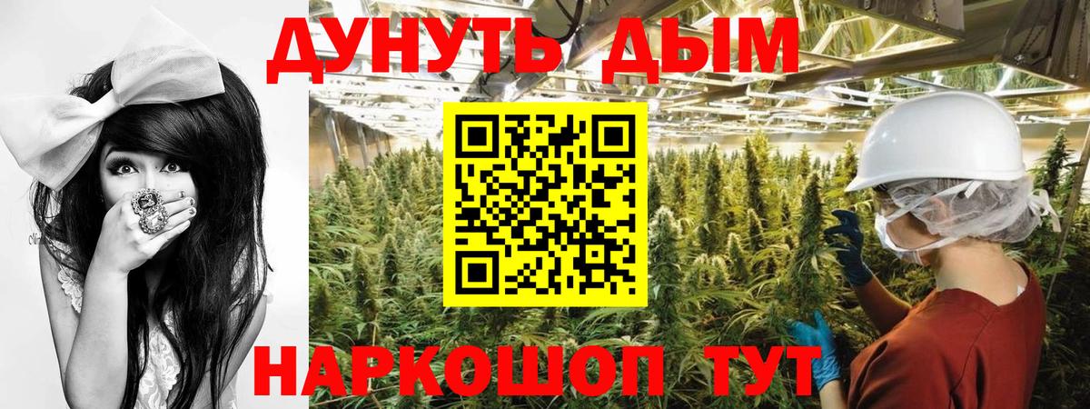Урус-Мартан  Бошки марихуана конопля  Бошки марихуана сатива  Вход с VPN 